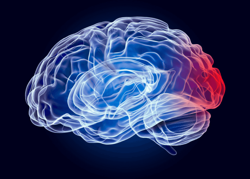 Illustration of brain activity representing the science‑based approach to art and wellbeing.