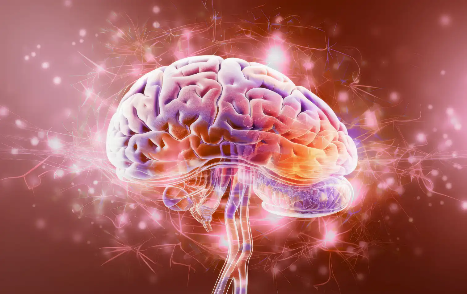 Colorful brain visualization showing positive neural effects of mindful art engagement.